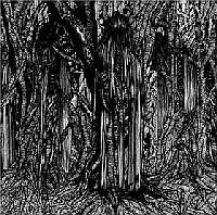 Sunn 0))) - Black One