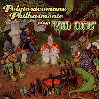 Polytoxicomane Philarmonie - Plays Psycho Erectus